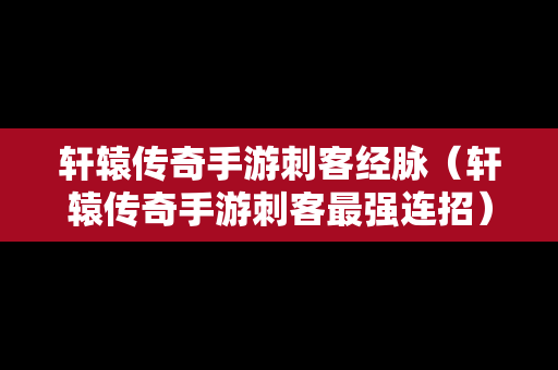 轩辕传奇手游刺客经脉（轩辕传奇手游刺客最强连招）