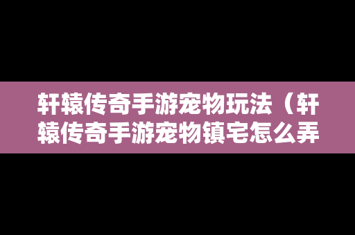 轩辕传奇手游宠物玩法（轩辕传奇手游宠物镇宅怎么弄）