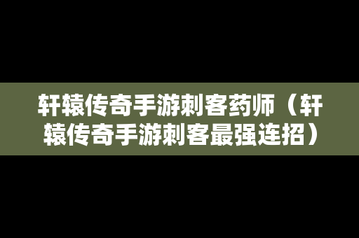 轩辕传奇手游刺客药师（轩辕传奇手游刺客最强连招）-第1张图片-传奇手游