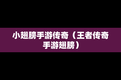 小翅膀手游传奇（王者传奇手游翅膀）