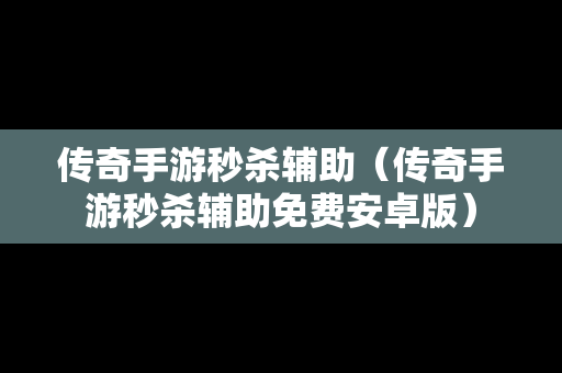 传奇手游秒杀辅助（传奇手游秒杀辅助免费安卓版）