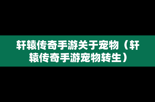 轩辕传奇手游关于宠物（轩辕传奇手游宠物转生）