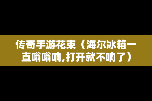 传奇手游花束（海尔冰箱一直嗡嗡响,打开就不响了）