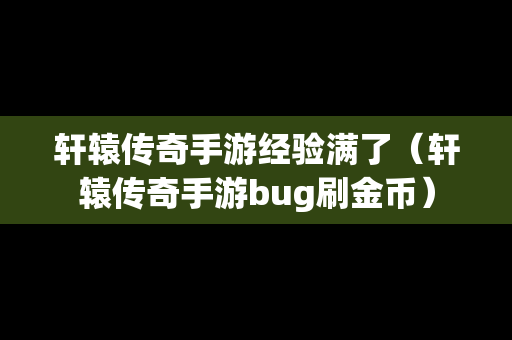 轩辕传奇手游经验满了（轩辕传奇手游bug刷金币）