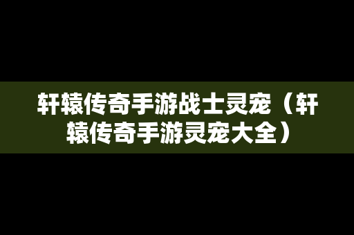 轩辕传奇手游战士灵宠（轩辕传奇手游灵宠大全）