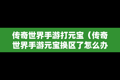 传奇世界手游打元宝（传奇世界手游元宝换区了怎么办）