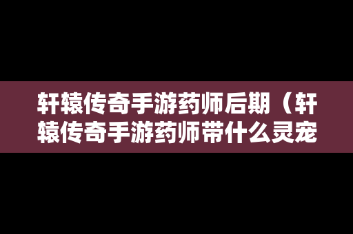 轩辕传奇手游药师后期（轩辕传奇手游药师带什么灵宠）