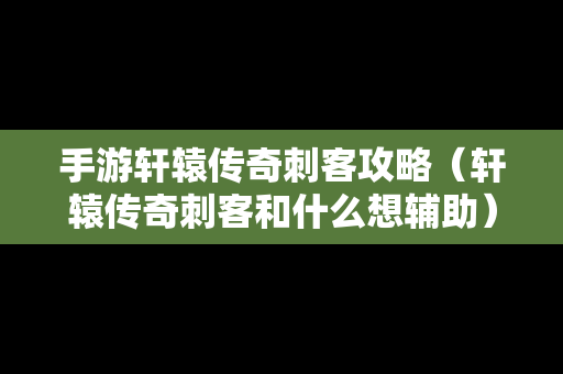 手游轩辕传奇刺客攻略（轩辕传奇刺客和什么想辅助）