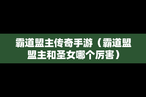 霸道盟主传奇手游（霸道盟盟主和圣女哪个厉害）