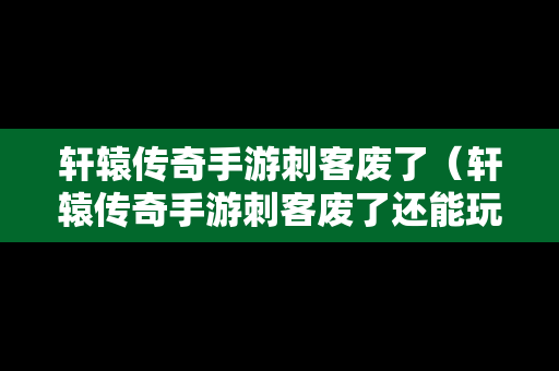 轩辕传奇手游刺客废了（轩辕传奇手游刺客废了还能玩吗）