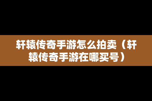 轩辕传奇手游怎么拍卖（轩辕传奇手游在哪买号）